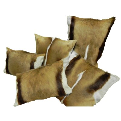 GTK Hirschkopf Stamper Gläser – 6er Set, 2 Cl Fassung, Ca. 5,5 Cm Hoch Im Geschenkkarton