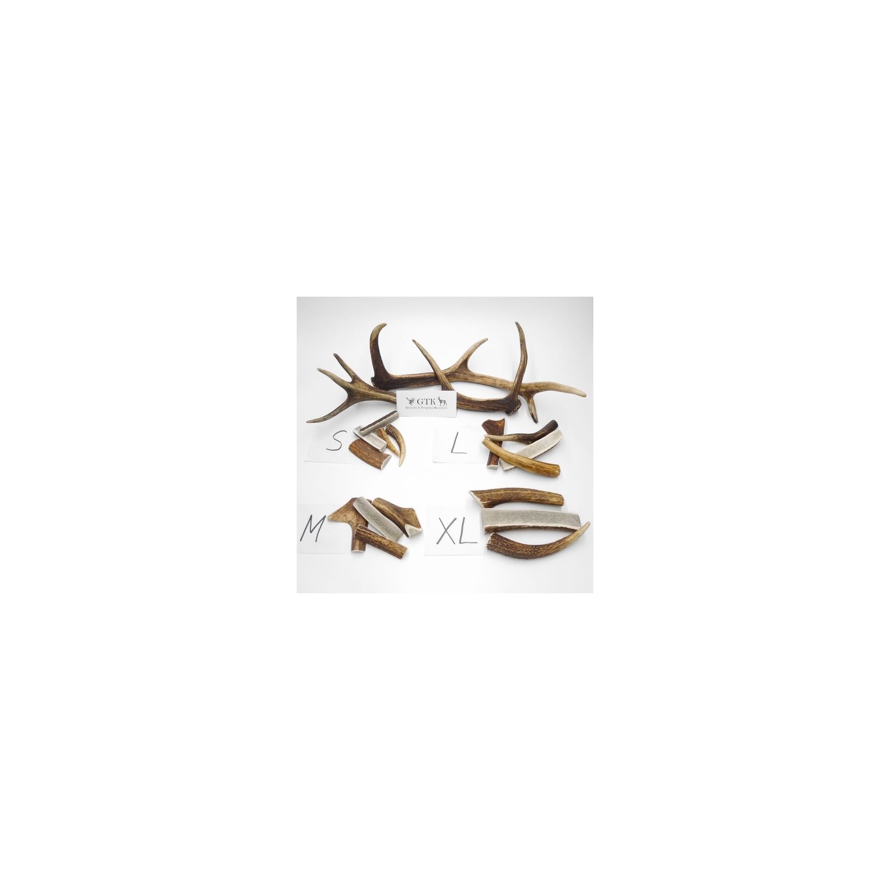 GTK - Geweihe & Trophäen KRUMHOLZ 1x Wappenschild Wildschwein Trophäenschild Wappenform, AF 19cm, mit Eichenlaub Deckblatt Silberfarben