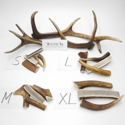 GTK Medaille Hirsch - Bronzefarbene Deko-Medaille Für Rothirsch Trophäen