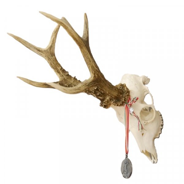 Rehbock Medaillen Klasse