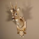 Rehbock Kopf hochkapital auf geschnitztem Trophäenschild Schulter Präparat Höhe 81 cm Geweih Bock Reh Kopfpräparat