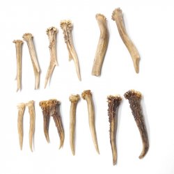 7 Paare Reh Gehörne Rehgeweih Stangen