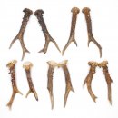 5 Paare Reh Gehörne Rehgeweih Stangen