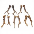 5 Paare Reh Gehörne Rehgeweih Stangen