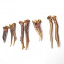 5 Paare Reh Gehörne Rehgeweih Stangen