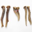 5 Paare Reh Gehörne Rehgeweih Stangen
