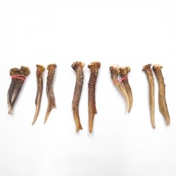 5 Paare Reh Gehörne Rehgeweih Stangen