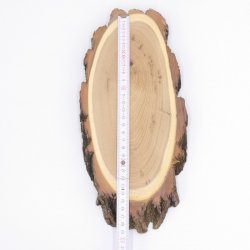 1 Stück Trophäenschild AKAZIE AF 23-24cm Reh sehrgroß Rehbock Geweih Scheibe Baumschild