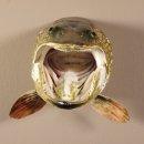 Hechtkopf Hecht Tiefe 33 cm  Kopf Präparat Raubfisch Fisch offenen Fang