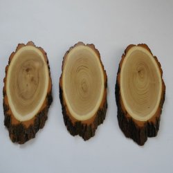 3 Stück Akazie Reh Bock Trophäenschild AF 19 cm Rehbock Baumscheibe Baumschild