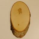 Birke Rothirsch AF 47 cm Hirsch Schild Troph&auml;enschild Geweih Baumschild Natur Holz modern