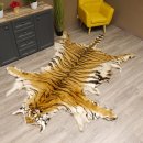 Tigerfell Fell Vorleger Trophäe Krallen Teppich Länge 285 cm mit Cites/VMG