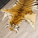 Tigerfell Fell Vorleger Trophäe Krallen Teppich Länge 285 cm mit Cites/VMG