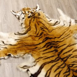 Tigerfell Fell Vorleger Trophäe Krallen Teppich Länge 285 cm mit Cites/VMG