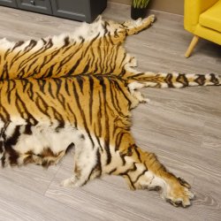 Tigerfell Fell Vorleger Trophäe Krallen Teppich Länge 285 cm mit Cites/VMG