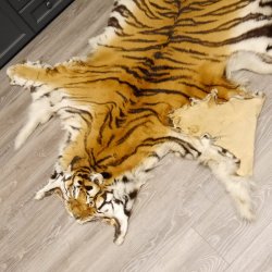 Tigerfell Fell Vorleger Trophäe Krallen Teppich Länge 285 cm mit Cites/VMG