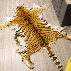 Tigerfell Fell Vorleger Trophäe Krallen Teppich Länge 285 cm mit Cites/VMG