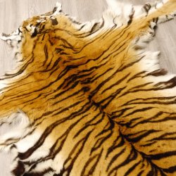 Tigerfell Fell Vorleger Trophäe Krallen Teppich Länge 285 cm mit Cites/VMG