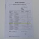 Birkhahn Hahn weiblich Ganzpräparat Präparat Höhe 29 cm mit Herkunftsnachweis