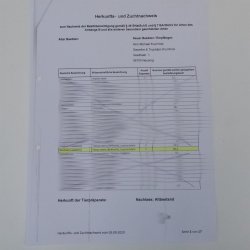 Birkhahn Hahn weiblich Ganzpräparat Präparat Höhe 29 cm mit Herkunftsnachweis