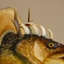 Fischkopf Wolpertinger Präparat Hecht Hörner mit Keilerzähnen Rehgeweih mit Baumscheibe taxidermy
