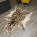 Grevy Zebra Fell Vorleger mit Genehmigung zum Verkauf...