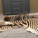 seltenes Grevy Zebra Fell Vorleger mit VMG