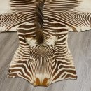seltenes Grevy Zebra Fell Vorleger mit VMG