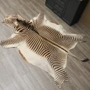 seltenes Grevy Zebra Fell Vorleger mit VMG