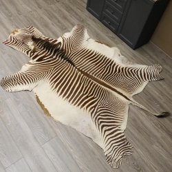 seltenes Grevy Zebra Fell Vorleger mit VMG
