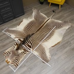 seltenes Grevy Zebra Fell Vorleger mit VMG