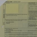 Lannerfalke Präparat Falke präpariert Tierpräparat taxidermy mit Genehmigung zum Verkauf