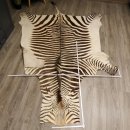 Zebra Fell Hartmann Bergzebra Vorleger mit Genehmigung zum Verkauf 87.100.18