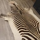 Zebra Fell Hartmann Bergzebra Vorleger mit Genehmigung zum Verkauf 87.100.18