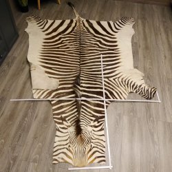 Zebra Fell Hartmann Bergzebra Vorleger mit Genehmigung zum Verkauf 87.100.18