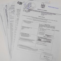 Zebra Fell Hartmann Bergzebra Vorleger mit Genehmigung zum Verkauf 87.100.18
