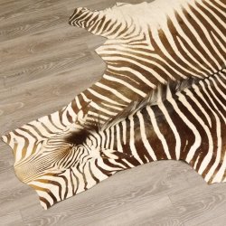 Zebra Fell Hartmann Bergzebra Vorleger mit Genehmigung zum Verkauf 87.100.18