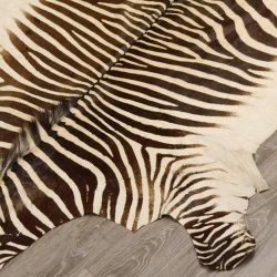 Zebra Fell Hartmann Bergzebra Vorleger mit Genehmigung zum Verkauf 87.100.18