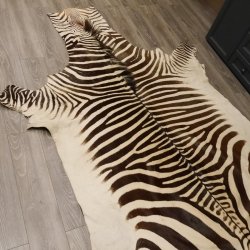 Zebra Fell Hartmann Bergzebra Vorleger mit Genehmigung zum Verkauf 87.100.18