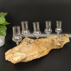 Schnapsanbieter 5 Gläser mit Stil auf Wurzel Steckglas Set Schnaps Geschenk Neu 27.60.1.3