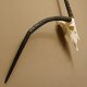 Oryx (Oryx gazella) abnorme Antilope Hornlänge 81 cm Spießbock Afrika Schädeltrophäe 88.3.83