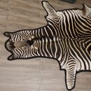 Zebrafell Fell Zebra Vorleger Steppenzebra L&auml;nge 330 cm 87.100.17