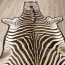 Zebrafell Fell Zebra Vorleger Steppenzebra L&auml;nge 330 cm 87.100.17
