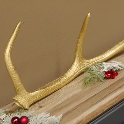 Rothirsch goldfarbig Länge 61 cm Hirsch Stange Abwurfstange 71.1.141