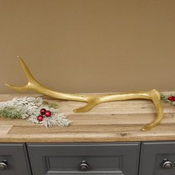 Rothirsch goldfarbig Länge 61 cm Hirsch Stange Abwurfstange 71.1.141