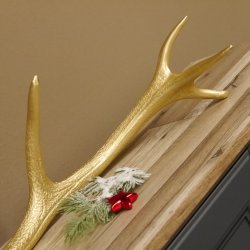 Rothirsch goldfarbig Länge 61 cm Hirsch Stange Abwurfstange 71.1.141