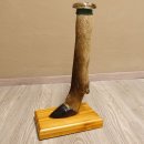 Bein Huf Fuß Geweih Ascher Hirsch mit Aschenbecher 27.5.4