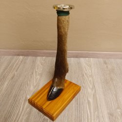 Bein Huf Fuß Geweih Ascher Hirsch mit Aschenbecher 27.5.4