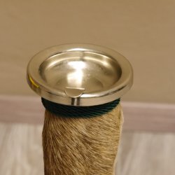 Bein Huf Fuß Geweih Ascher Hirsch mit Aschenbecher 27.5.4