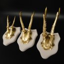 3 Stück Rehgeweihe goldene Rehgehörne weißen Schilder Geweih Reh bunt Deko Geschenk Idee 26.1.114
